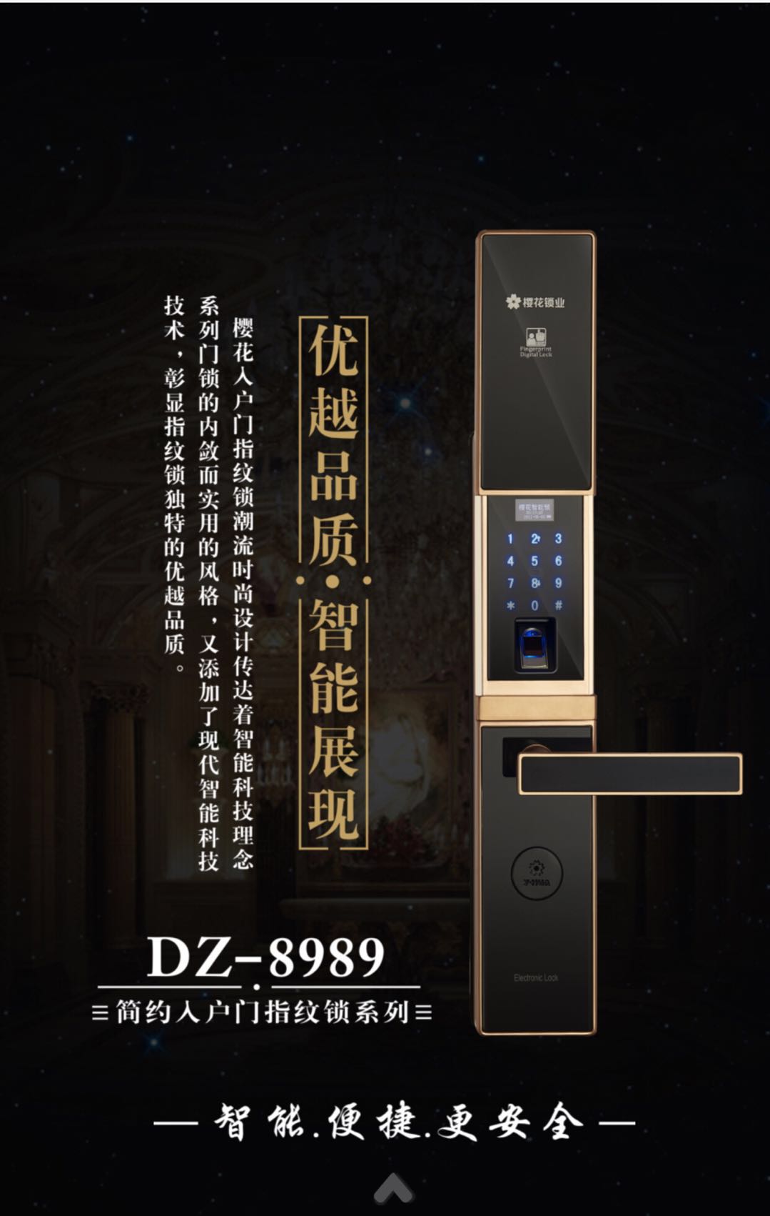 ѻT(mn)i  DZ-8989